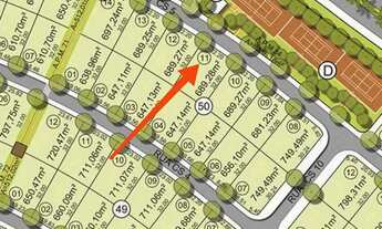 Imagem: Lote - Plateau Dor (Unique