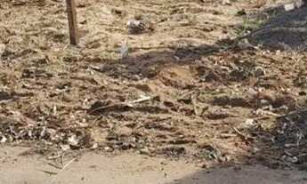Imagem: Vendo terreno na cidade de Monte Alto Aceito