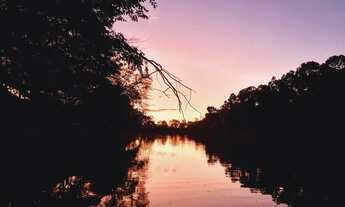 Imagem: CHÁCARA A VENDA NO MUNICÍPIO DE MINAS