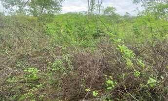 Imagem: Chacreamento Recanto dos Sonhos