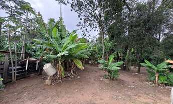 Imagem 5: VENDE SE OU TROCA ESSE SÍTIO EM CAJURU SÃO PAULO