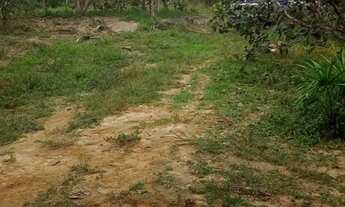 Imagem 2: Vendo sitio em rio preto da eva