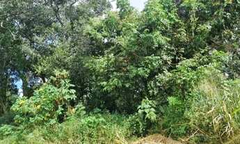 Imagem 2: Venda Terreno Recanto dos Angicos