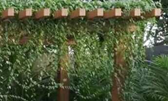 Imagem 5: Casa com 3 quartos sendo 1 suíte com closet no Condomínio Reserva santa Inês em Campo Gran