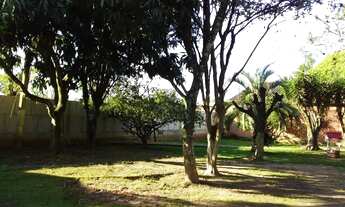 Imagem 5: Sítio a venda com 3 Dormitório(s) - bairro Berto Cirio na Nova Santa Rita