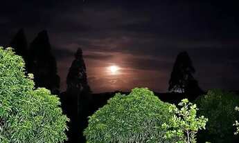 Imagem 7: Chácara Chácara com venda por R$1.400.000