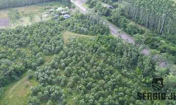 Imagem 6: Área de terra com 26,7ha e frente para o asfalto, 8 km de Montenegro