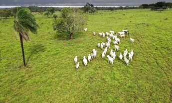 Imagem: FAZENDA EM CAMPOS BELOS - GO Uma oportunidade