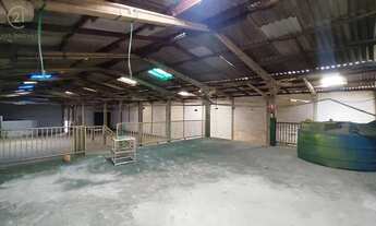 Imagem 2: Barracão para alugar em Londrina, Alpes, com 1000 m²