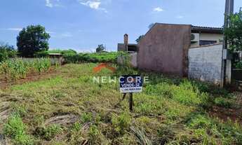 Imagem 4: Lote em São Miguel do Iguaçu - São Jorge - São Miguel do Iguaçu/PR