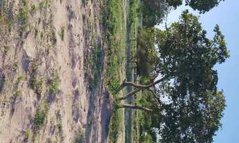 Imagem 5: Terreno Terreno / lote com venda por R$18.000