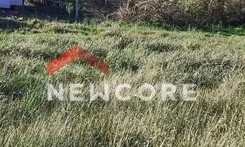 Imagem 5: Lote em Rua Belerophonte Albuquerque - Centro - São Francisco de Paula/RS