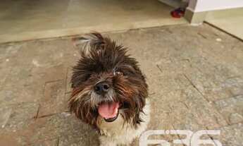 Imagem 4: Casa | Joinville | Jardim Iririú