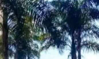 Imagem 4: Apartamento em Rua Jequirana de Goiás - Jardim Santo Antônio - São Paulo/SP