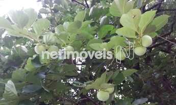 Imagem 4: Oportunidade Imperdível na Pompéia BH! Casa Ampla com 5 Quartos e Enorme Quintal!