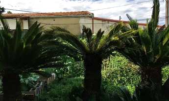 Imagem 4: ALN | CASA ANTIGA PARA DEMOLIÇÃO NO JARDIM DAS INDÚSTRIAS | 250M² DE TERRENO