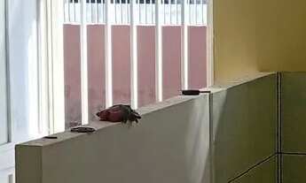 Imagem: Kitnet em Planaltina DF