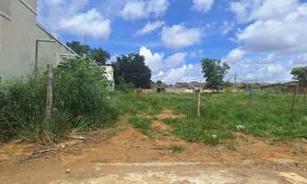 Imagem: Lote 379,59m² (Asfalto, Agua, Esgoto) Papillon