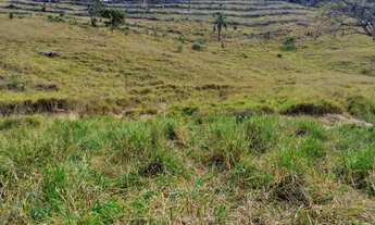 Imagem 2: 17.5 Alqueires Pertinho de Gv