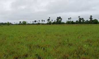 Imagem: Fazenda de 1000 hectares na serra da lua