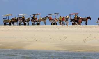 Imagem 7: Lote na Ilha de Algodoal-Pa a 300 mts da praia