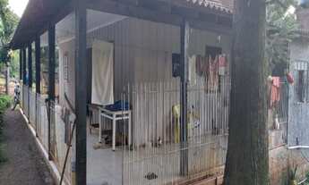 Imagem 2: Sítio 5,0 Hectares - Linha Glória - Rolante - RS