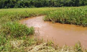 Imagem: Chácara molhada com 24.200 m2, com casa