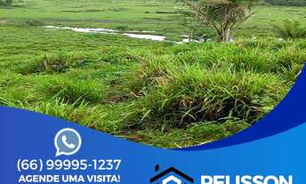 Imagem: FAZENDA/PECUARIA/CRUZEIRO DO SUL/ACRE/DOCUMENTADA