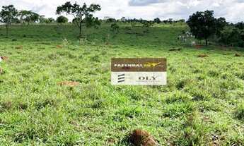 Imagem 3: Fazenda Extra na Região de Cristianópolis-GO ! 81 Alqueires ! Oportunidade