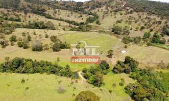 Imagem 5: Fazenda 37.5 alqueires ( 182 hectares ) - Caldazinha-GO