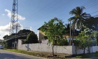 Imagem 6: Casa para aluguel tem 200 metros quadrados com 4 quartos em Peroba - Maragogi - AL