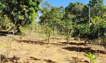 Imagem 7: Sítios/chácara/Fazendas