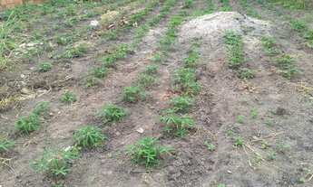 Imagem 2: TERRENOS EM ITAMBI - ITABORAI/RJ