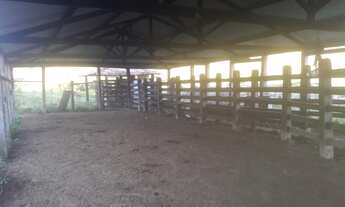 Imagem 4: Fazenda com 4 aptidões para venda com 222 hectares em Dário Meira - BA