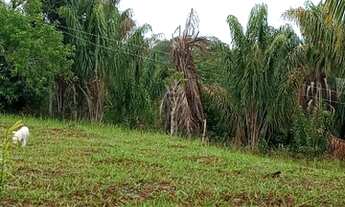 Imagem 5: Sítio para venda com 4,6 hectares em Canavieiras-BA
