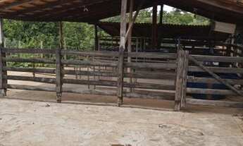 Imagem 3: Fazenda Municio Padre Bernado/GO