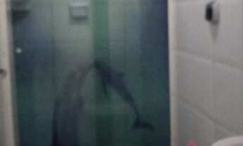 Imagem 5: Casa em Mogi das Cruzes