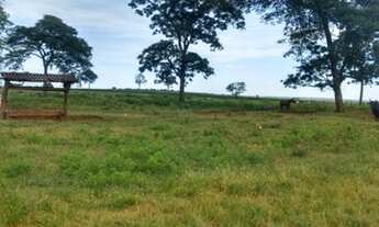 Imagem 4: Excelente fazenda em Limeira