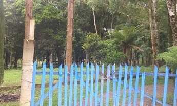 Imagem 5: Excelente Chacara com 17,000 em campo largo da roseira 380,000