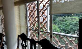 Imagem 7: Tradicional Parque Guinle! Um oásis no meio da zona sul! Linda vista e silêncio total!