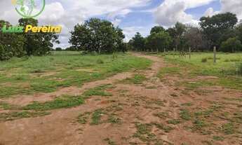 Imagem 5: FAZENDA À VENDA NO FORMOSO DO ARAGUAIA-TO- 1936 HECTARES (DUPLA APTIDÃO