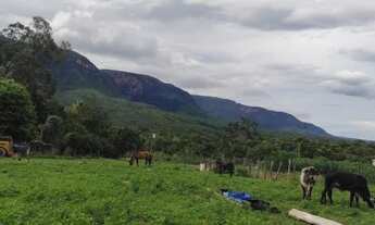 Imagem 8: Excelente fazenda em formosa