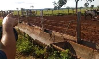 Imagem 6: Excelente fazenda em Limeira