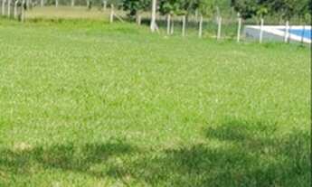 Imagem 7: Vendo Terreno condomínio Pinheiro Lago 1750 metros