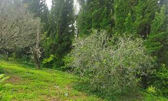 Imagem: Lote/Terreno para venda possui 1000 metros