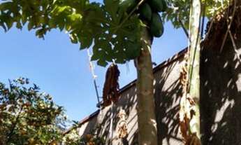 Imagem 3: Terreno para venda Novo Taquaral