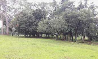 Imagem 4: Vendo área na BR277 região do lago em Cascavel PR