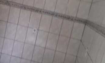 Imagem 4: Alugo casas na Ceilândia Sul