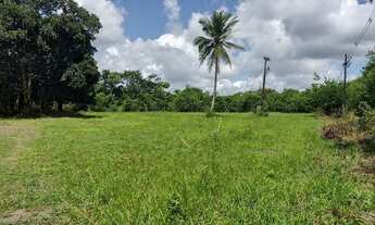 Imagem 5: São 7 heketare com mas de 85% aproveitalvel e plano, se vende todo ou fração de heketares