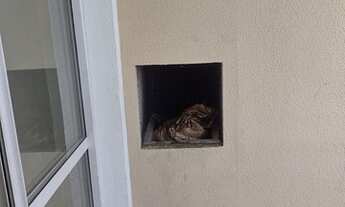 Imagem 4: Apartamento em Mogi das Cruzes